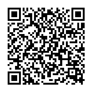 现在的凤翎与凰舞都十分理解为什么叶枫有勇气一个人去独闯那伽了二维码生成