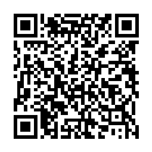 现在的圣龙飞舟已经成为了货真价实的主神器级别的法宝二维码生成