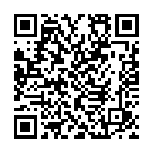 现在的她们和一个多月以前的富家小姐已经完全不同了二维码生成