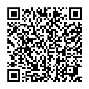 现在的小松鼠跟箱打过的芭蕉似的一点儿也没有刚才的嘚瑟劲儿了二维码生成