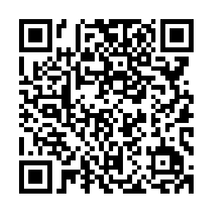 现在的局面与预期回然……现在已经不仅我们要杀叶笑的问题二维码生成