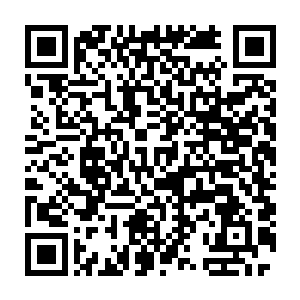 现在的情况是顾教授和他的两个学生正在云东市的医院里进行紧急治疗二维码生成