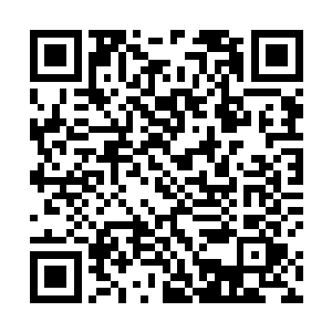 现在的晓婷可和当初第一次见到她的时候完全不一样了二维码生成