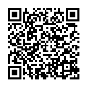 现在的李浩华终于毫无顾忌的报之前血海深仇了二维码生成