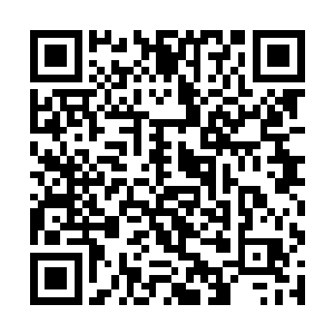 现在的林铭已经拥有了堪比揽月宗内门长老的实力吗二维码生成