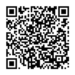 现在的洪大力在其他人的眼里简直就是神一般狗腿子这回是不用愁了……二维码生成