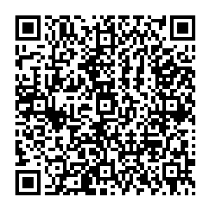 现在的皮皮趴在了皮球的大肚子上一只手紧紧的攥着皮球的胡子一边手还不断的拍着皮球的脖子二维码生成