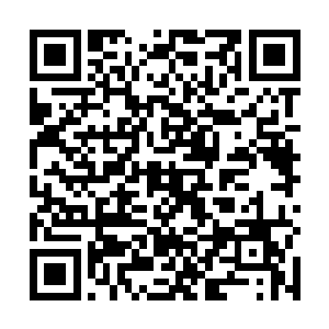 现在的紫月神貂已经比他们遇到绝世毒药时候强很多了二维码生成