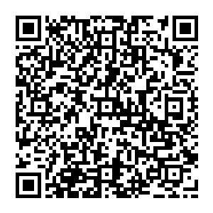 现在的这种顺序说明所谓天选最终还是要看自身是否足够强大――妖族在如此荒蛮艰险的环境里生存到现在二维码生成