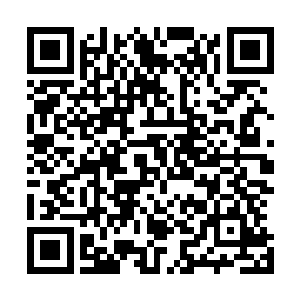 现在的阴影世界与万蛇之母口中的阴影世界完全是两个时代二维码生成