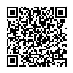 现在看到了金龙对杨公的依恋秦宇总算是明白了原因二维码生成