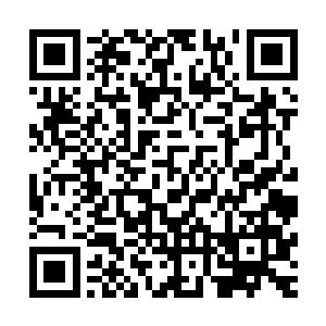 现在看样子是他们这群人太轻估权侑莉在金在珉心里的位置了二维码生成