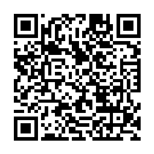 现在科林上尉和几个老师正在商量着要不要下去找人呢……二维码生成