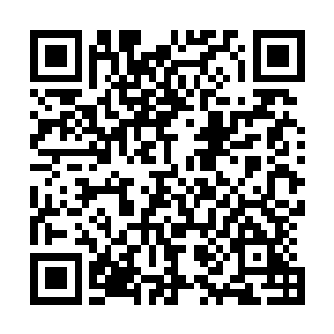 现在突然看到其中一个同伴竟然不明不白的撞在挡风玻璃上二维码生成