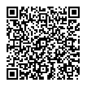 现在系统颁布的任务是要让楚旬等人在短短的一年时间内从零基础爬到新星榜前十二维码生成
