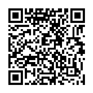 现在肯定有不少人正在通过城市的监控系统在看着他们呢二维码生成