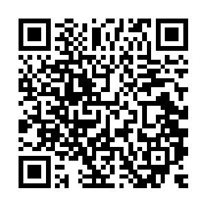 现在自己唯一能让林一道琢磨不定的也就是宇文灵芝下落不明了二维码生成