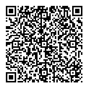 现在自己进了林子就狼狈得跟孙子似的……果然是看人干活儿不累啊……穿越丛林的实际艰难程度远远不是镜头所能够传达的二维码生成