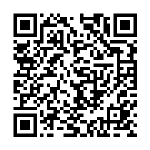 现在自然也不会冒着被我濒死反击而重伤的危险对我出手了二维码生成
