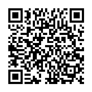 现在菲利普斯竟然可以利用刚猛的斗气用出这种极具柔润二维码生成