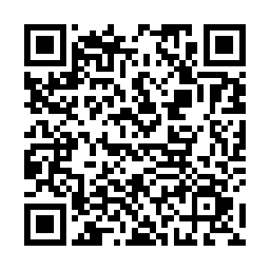 现在血妖姬之力已经在血妖姬专属的经络中正常运行了二维码生成