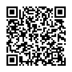 现在血液已经流出来积聚在后排脚下的凹陷处变得很粘稠二维码生成