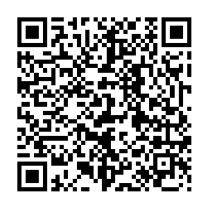 现在被动的等着她们来报复……反而是现阶段的上上之策……因为一旦主动出手二维码生成