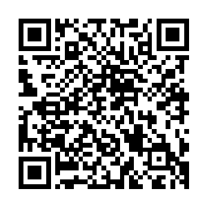 现在谁也顾不上抱怨军部的情报系统为什么会出这么大的篓子二维码生成