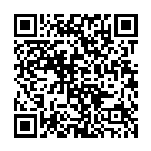 现在这个时候几乎是所有的人都在盯着卢卡斯的表演二维码生成