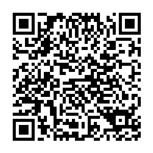现在这么大一家伙你觉得我们家厨房有哪把刀能对付的了这么大的鱼二维码生成