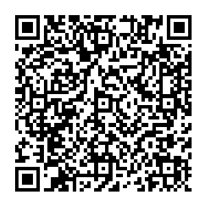 现在这件事已经在京城形成了相当大的动静……我们若是仍坚持在这个节骨眼上针对叶笑做什么二维码生成