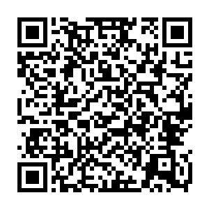 现在这家软件企业最主要的盈利点都在indos系统跟企业级服务器提供跟维护上二维码生成