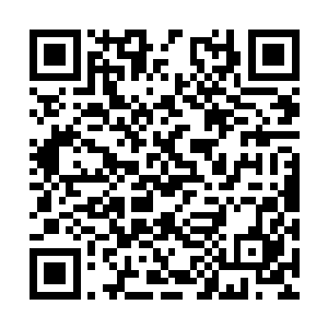 现在这里已经没有什么能够引起杨戬兴趣的东西了二维码生成