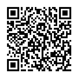 现在连结非洲大陆和南美大陆的海域就是该陆块以前所在的位置二维码生成