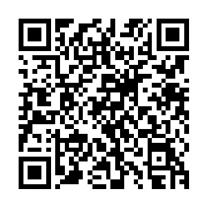 现在金乌城和阳河郡内的全效药剂的生成规模每年还不到一亿支二维码生成