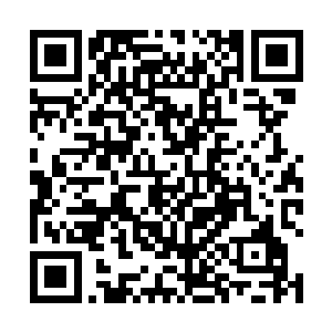 现在陆为民把目光落在了分管党务组织这一块的领导上二维码生成