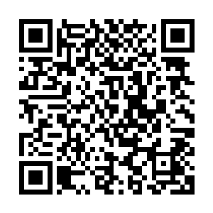 现在难得的是那位看上去十分憨厚的老石头竟然让我在这种感觉二维码生成