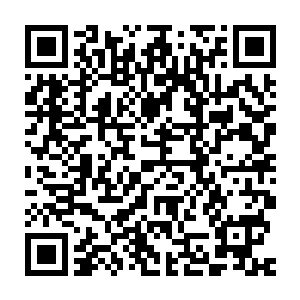 现在魔族出动了这么多低级的堕落天使来用人肉炸弹的方式攻击我们二维码生成