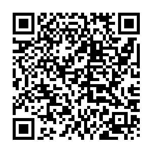 现在龙傲天将几个人安全的带进了玄黄秘境之中也算是完成了自己的任务二维码生成