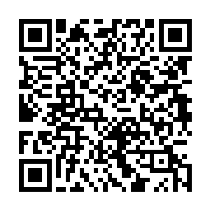 现在龙傲天已经不可能再使用黑暗吞噬将他的攻击吞噬掉了二维码生成