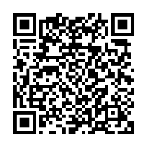 现在龙傲天已经无需和他们在做任何的争斗了龙傲天缓缓的开口二维码生成