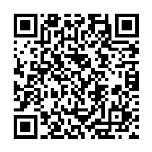 现在龙傲天的实力已经完全稳定在了顶级神中期顶峰二维码生成