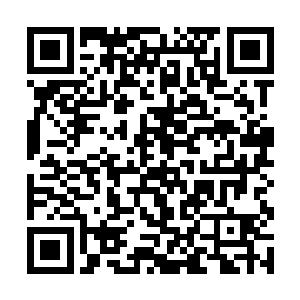 现在lms在梦工厂发行的今年剩余项目里地位排在最高二维码生成