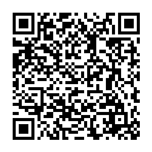 现如今看着统统都不成……前几日对门的夏二嫂还想跟咱们家结亲二维码生成