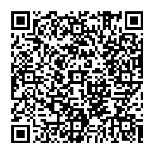 现实生活中大家都喜欢把喜欢炫富的家伙叫做炫富狗――现在莫轻敌亲眼看到一条小透明狗跑到自己面前来炫富二维码生成