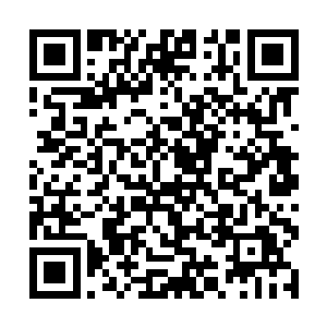 现有的dna复制方法根本不能完美的复制艾滋病毒的dna二维码生成