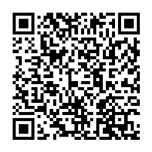 玲珑宗那边要是知道玲珑宝塔是被你们用如此蠢笨的办法给破掉的二维码生成