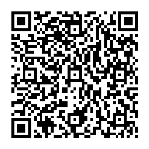 玻璃果盘里一排白色粉末被一桌青年男女很快用习惯插在鼻孔里的鼻吸方式吸食一空二维码生成