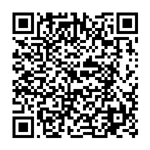 珍妮也对在开幕式酒会上稍微露了一脸就避嫌先走的张导演套起了近乎二维码生成