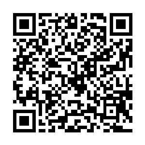 珍妮也很难解释自己为什么能和张导演毫无障碍地随意沟通二维码生成